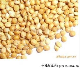 陽(yáng)原縣金弟農(nóng)副產(chǎn)品有限責(zé)任公司 農(nóng)副產(chǎn)品銷售的典范與創(chuàng)新